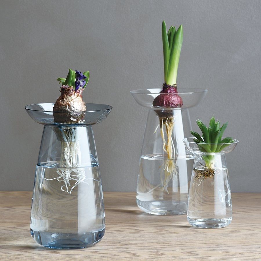 Kinto AQUA CULTURE VASE  clear