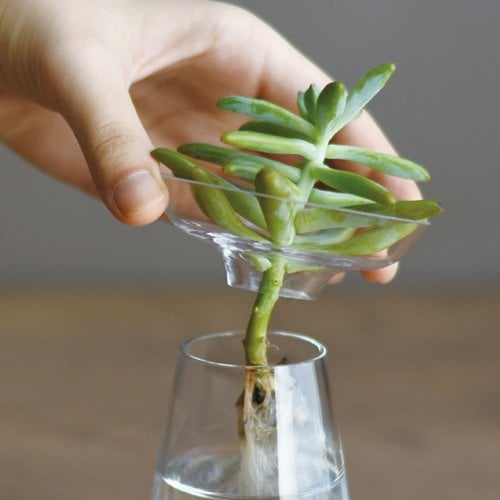 Kinto AQUA CULTURE VASE  clear