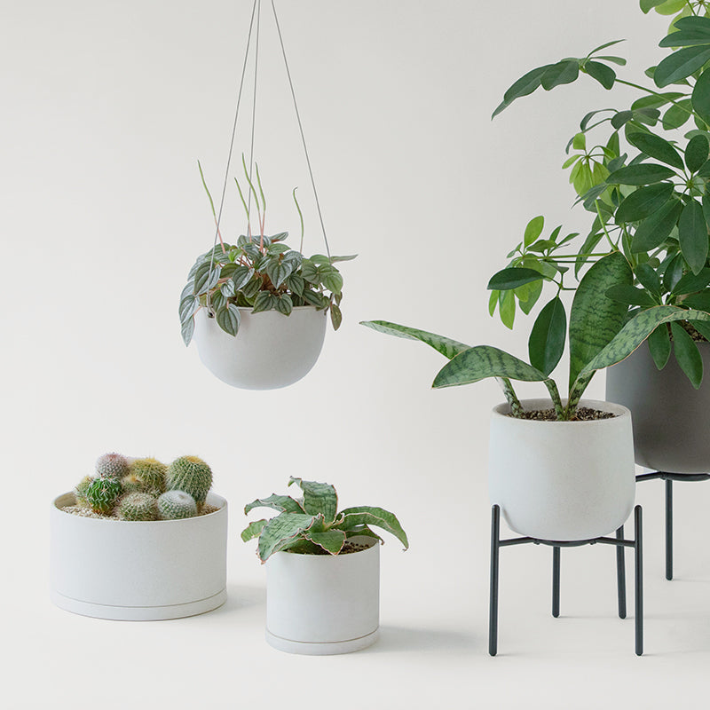 pot-pot-suspendu-plante-plant-stand