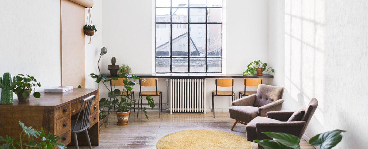 Enjoy Plants In Your Own Style