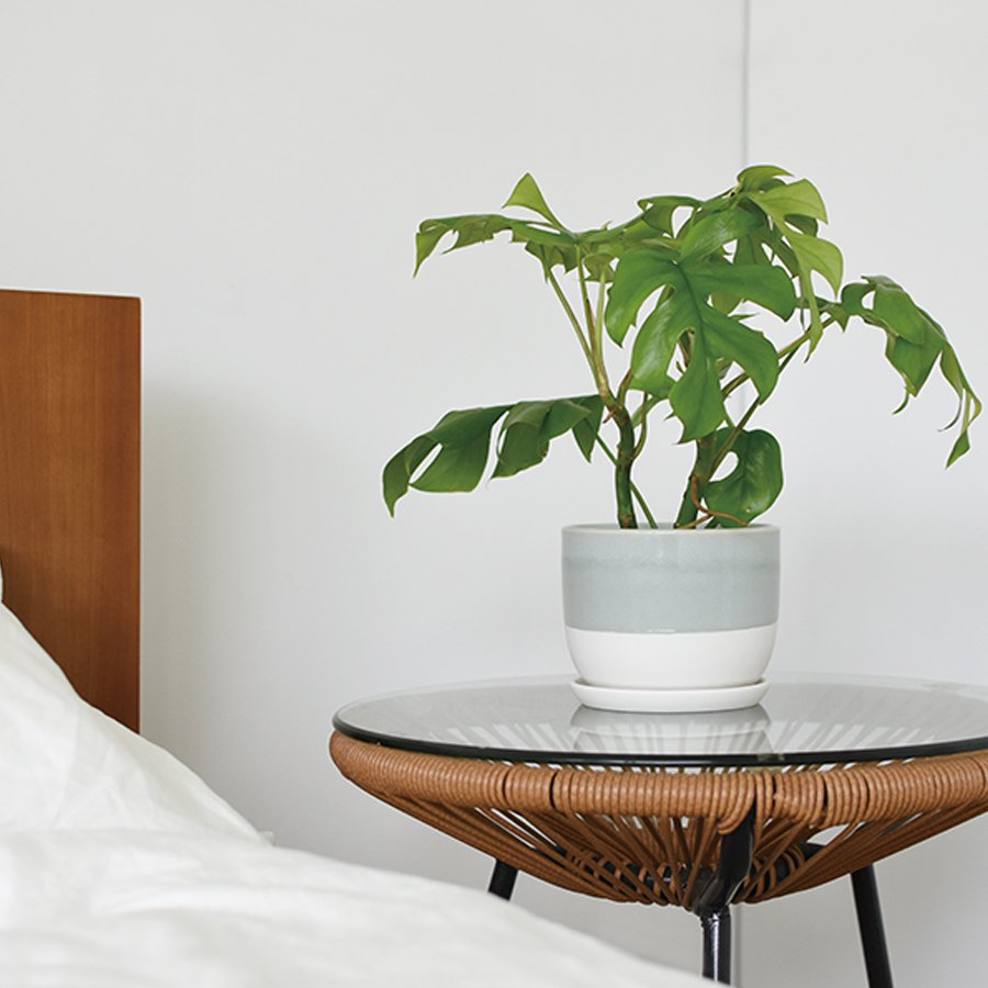 KINTO PLANT POT 193_ 110MM BEIGE