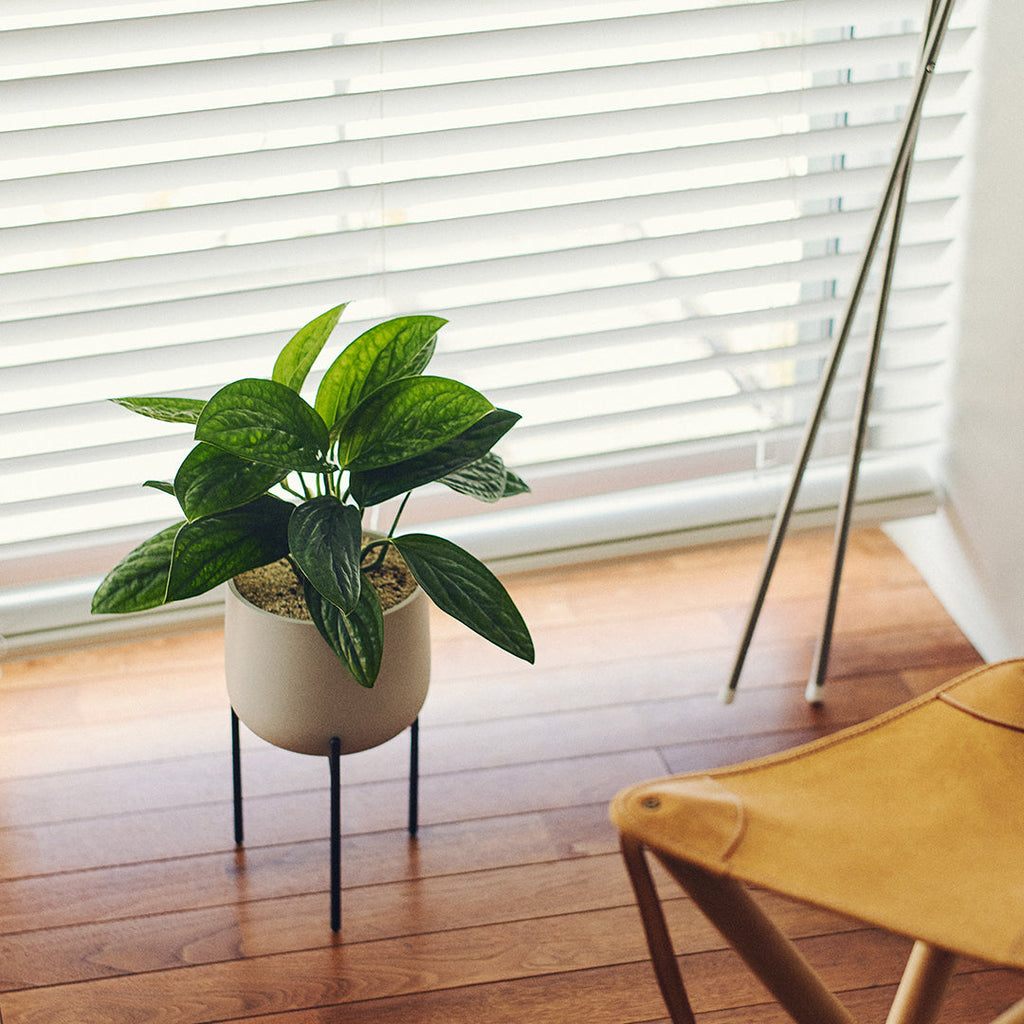 Kinto PLANT POT 211_ 160mm earth gray 3