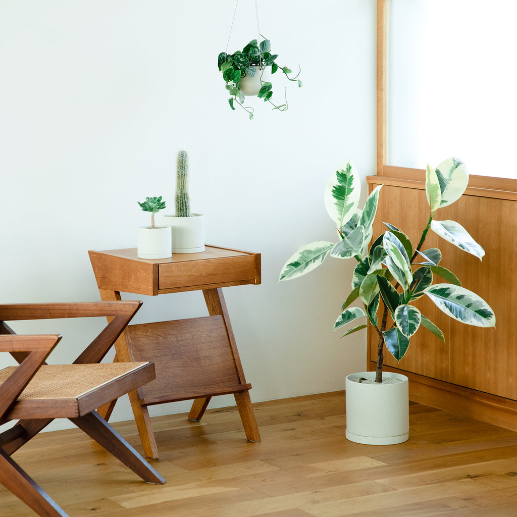 Kinto PLANT POT 191_ 200x195mm earth gray 2