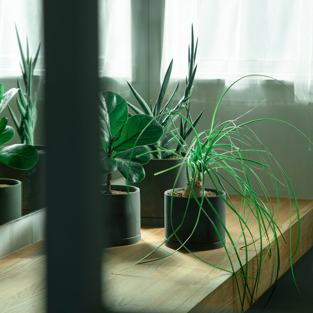 KINTO PLANT POT 191_ 170X160MM DARK GRAY