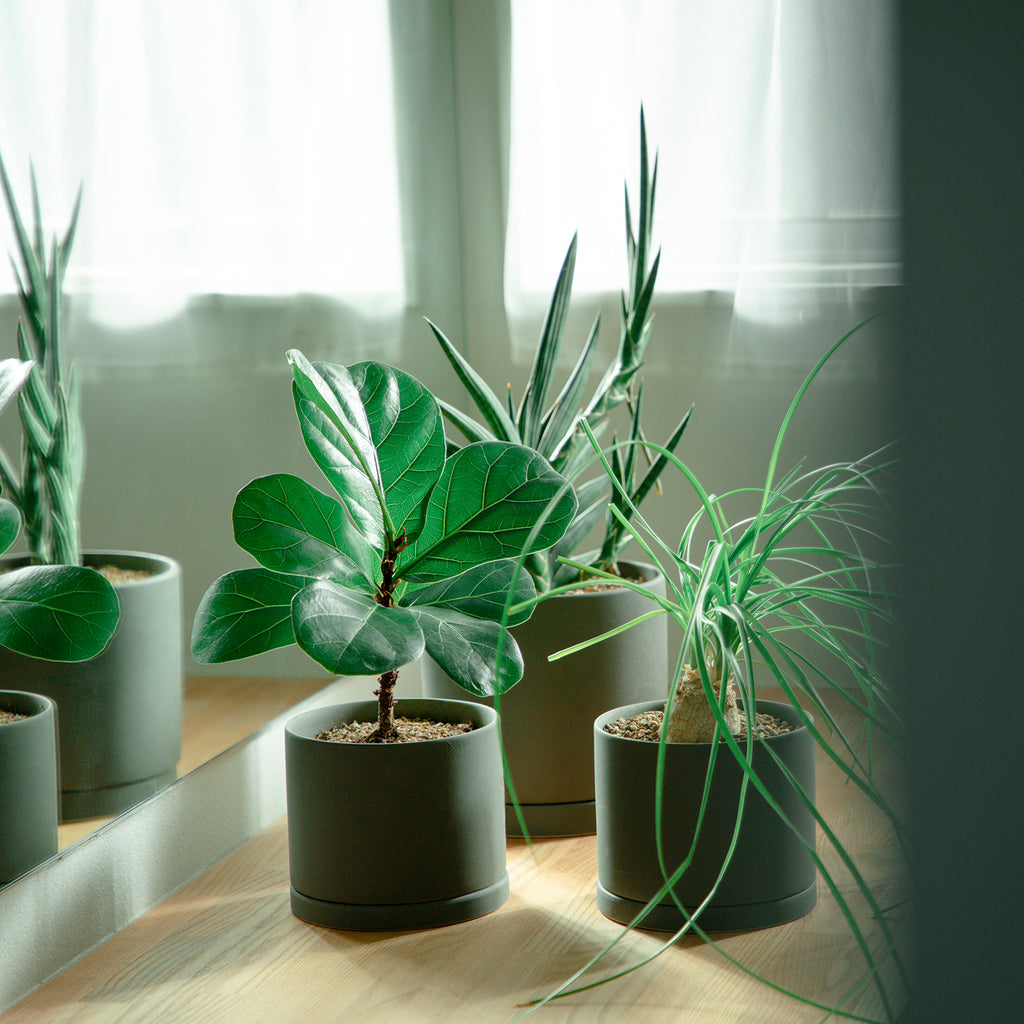 KINTO PLANT POT 191_ 200X195MM DARK GRAY