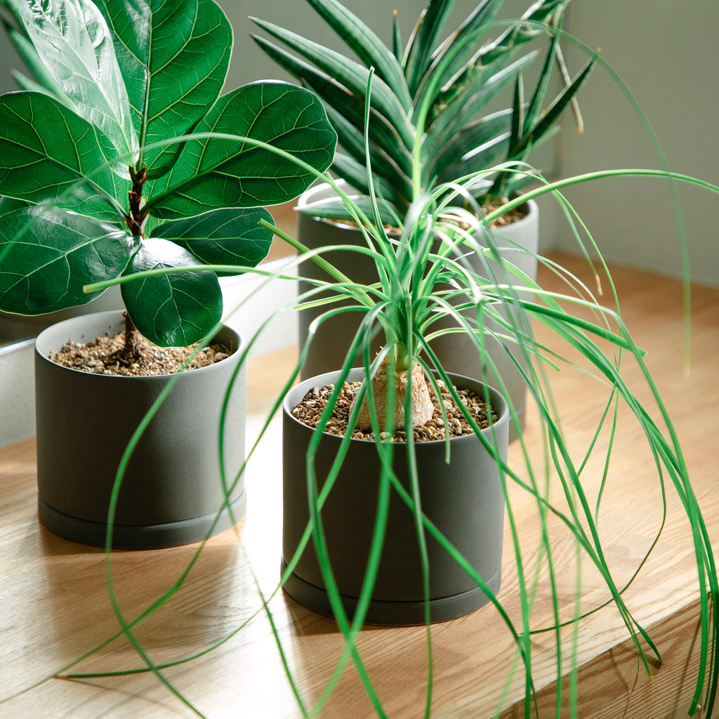 Kinto PLANT POT 191_ 170x160mm earth gray 4