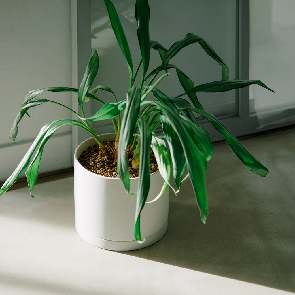 KINTO PLANT POT 191_ 170X160MM EARTH GRAY