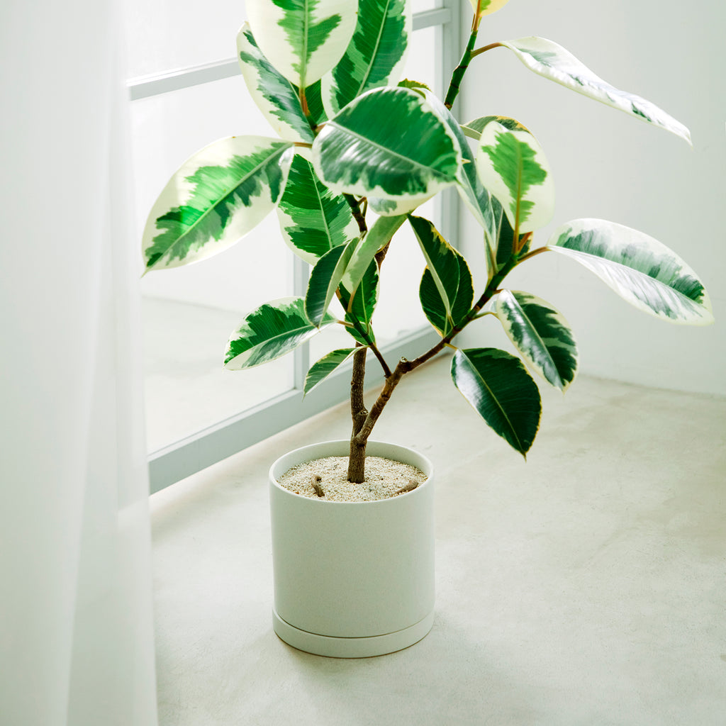 KINTO PLANT POT 191_ 200X195MM EARTH GRAY